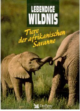 Lebendige Wildnis - Tiere der afrikanischen Savanne; Elefanten, Löwen, Nashörner, Straße, Giraffen, Schakale, Gazellen, Hyänen. Lebendige Wildnis - Tiere der afrikanischen Savanne; Elefanten, Löwen, Nashörner, Straße, Giraffen, Schakale, Gazellen, Hyänen.