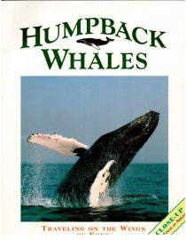 Humpback Whales: Traveling on the Wings of a Song (Close Up) Humpback Whales: Traveling on the Wings of a Song (Close Up)