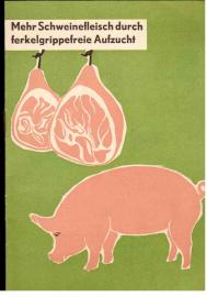 Mehr Schweinefleisch durch ferkelgrippefreie Aufzucht Mehr Schweinefleisch durch ferkelgrippefreie Aufzucht