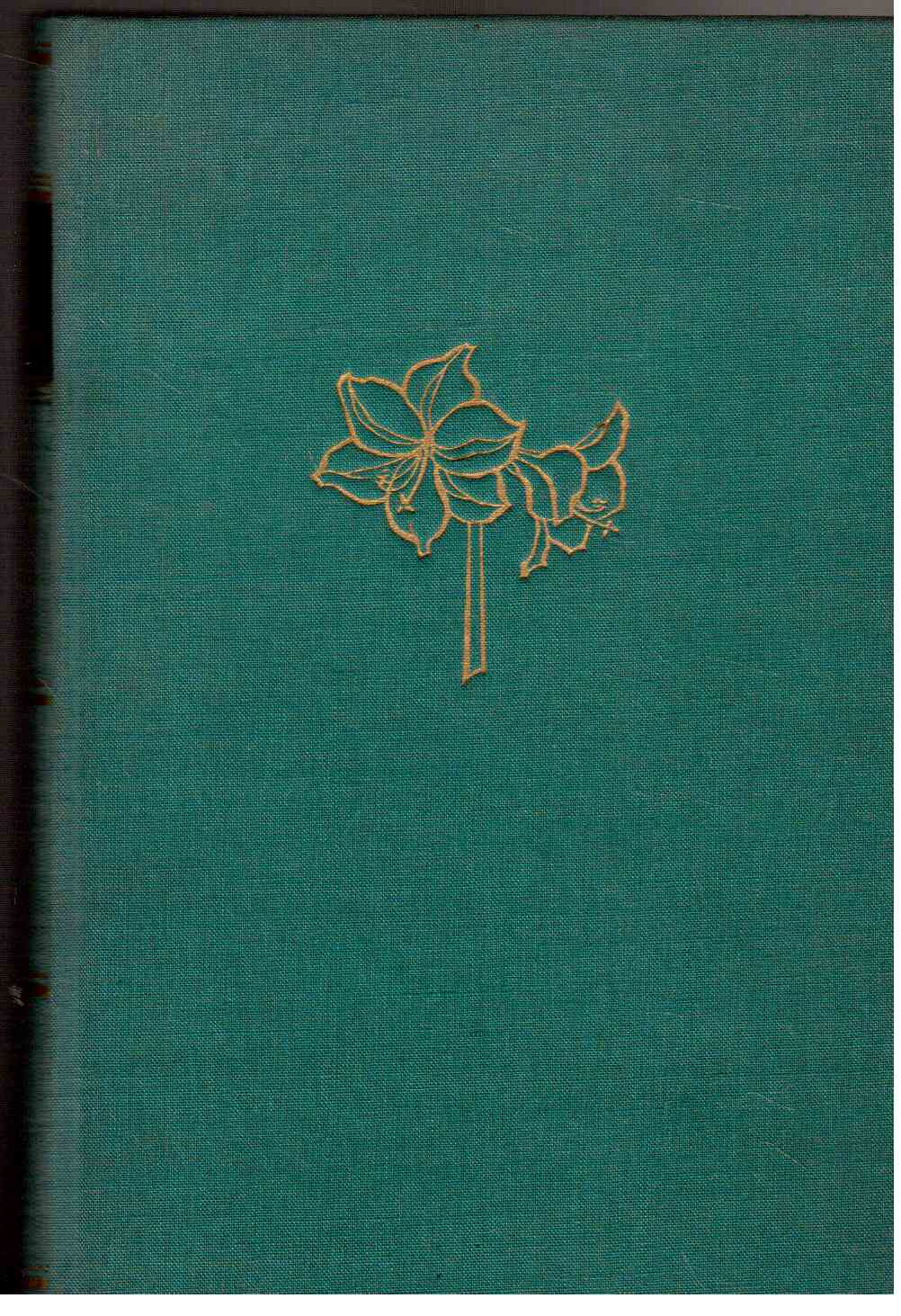Zimmerblumen