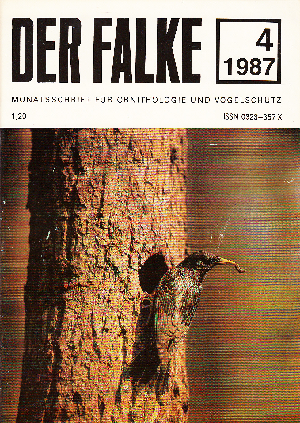 Der Falke : Monatsschrift für Ornithologie und Vogelschutz. Heft 4 (1987) Der Falke : Monatsschrift für Ornithologie und Vogelschutz. Heft 4 (1987)
