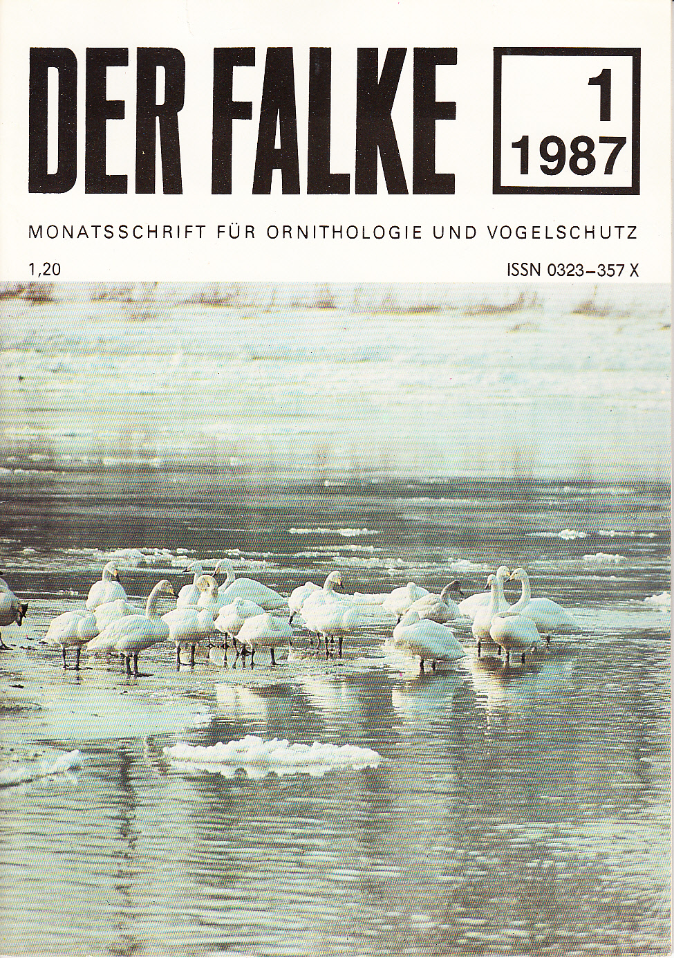 Der Falke : Monatsschrift für Ornithologie und Vogelschutz. Heft 1(1987) Der Falke : Monatsschrift für Ornithologie und Vogelschutz. Heft 1(1987)