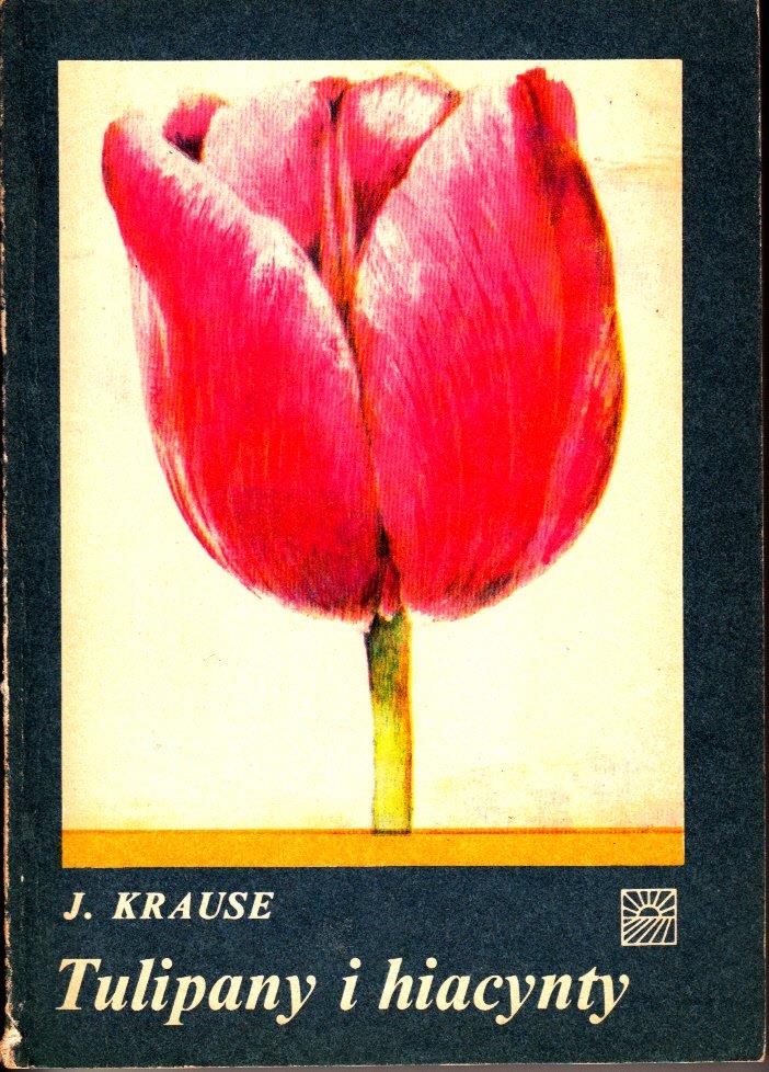 Tulipany i hiacynty (Tulpen und Hyazinthen) Tulipany i hiacynty (Tulpen und Hyazinthen)