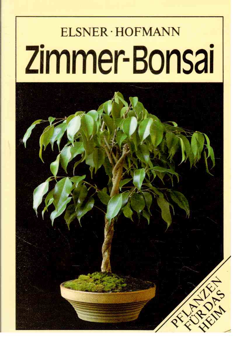Zimmer-Bonsai.