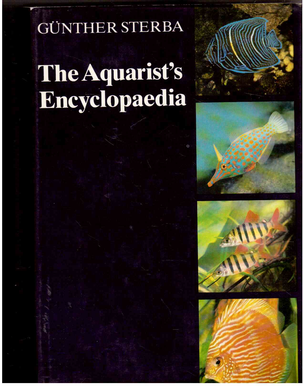 Aquarium Encyclopedia Aquarium Encyclopedia