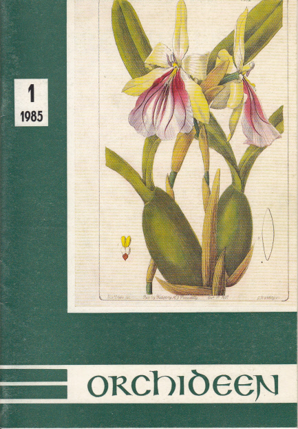 Orchideen : Zeitschrift für Fachgruppen und Interessengemeinschaften 1(1985) Orchideen : Zeitschrift für Fachgruppen und Interessengemeinschaften 1(1985)
