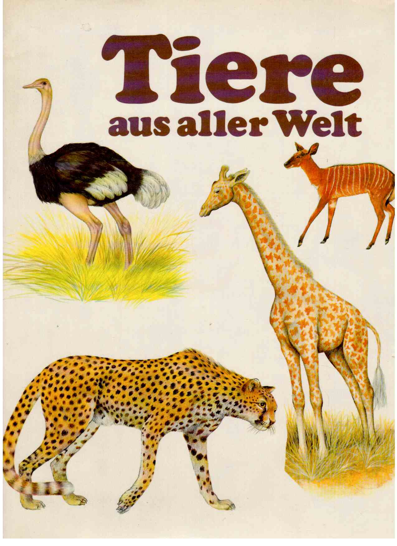 Tiere aus aller Welt Tiere aus aller Welt