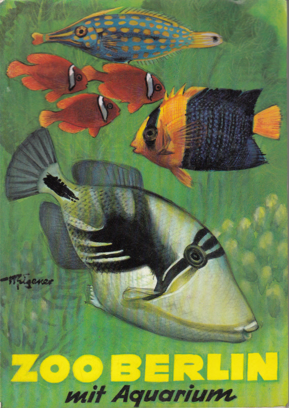 Wegweiser durch den Zoologischen Garten und sein Aquarium 1980 Wegweiser durch den Zoologischen Garten und sein Aquarium 1980
