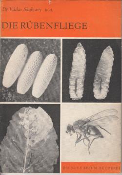 Die Rübenfliege. (Pegomya betae Curt.und P. hyoscyami Panz.)