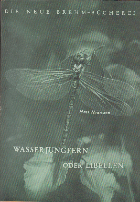Wasserjungfern oder Libellen Wasserjungfern oder Libellen