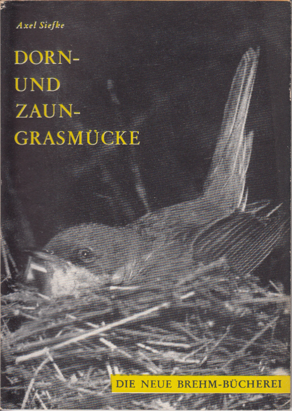 Dorn- und Zaungrasmücke. Sylvia communis Latham, S. currurca (Linne) Dorn- und Zaungrasmücke. Sylvia communis Latham, S. currurca (Linne)