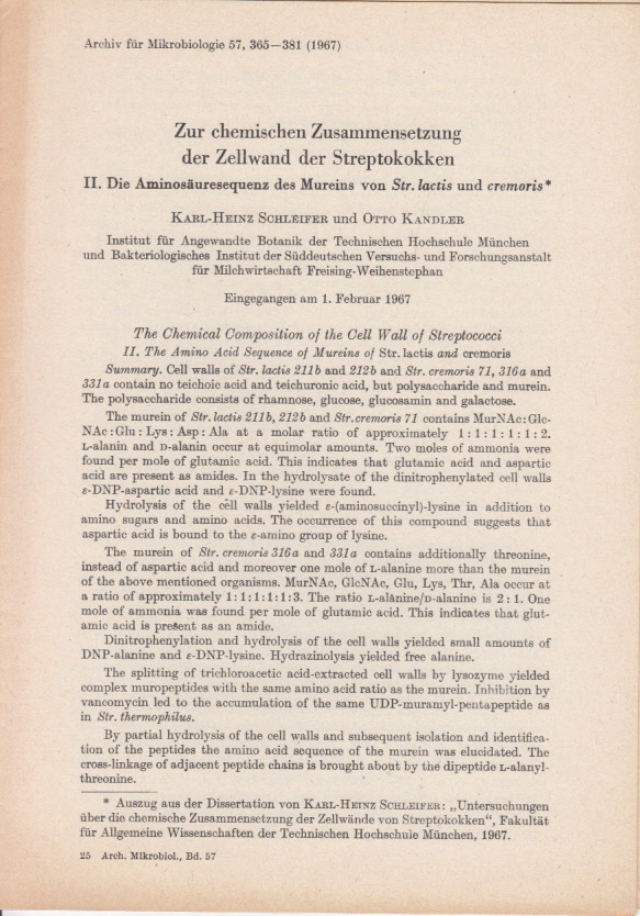 Zur chemischen Zusammensetzung der Zellwand der Streptokokken. II. Die Aminosäuresequenz des Mureins von Str. lactis und cremoris Zur chemischen Zusammensetzung der Zellwand der Streptokokken. II. Die Aminosäuresequenz des Mureins von Str. lactis und cremoris