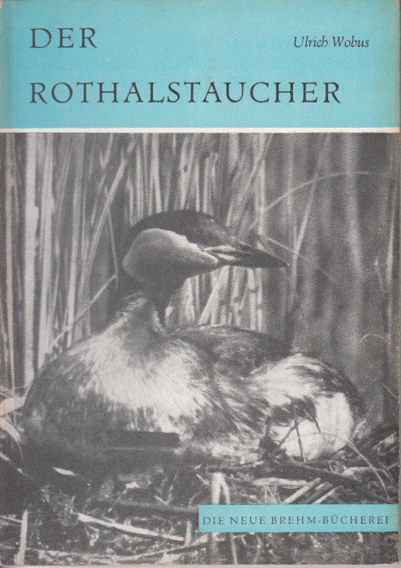 Der Rothalstaucher (Podiceps griseigena Boddaert) Der Rothalstaucher (Podiceps griseigena Boddaert)