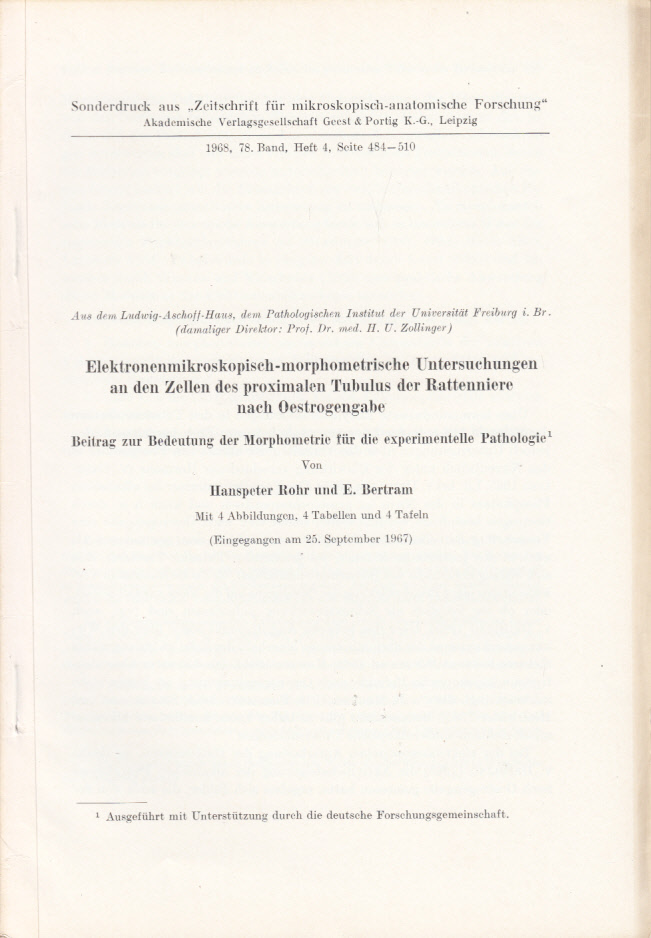 Elektronenmikroskopisch-morphometrische Untersuchungen an den Zellen des proximalen Tubulus der Rattenniere nach Oestrogengabe Elektronenmikroskopisch-morphometrische Untersuchungen an den Zellen des proximalen Tubulus der Rattenniere nach Oestrogengabe