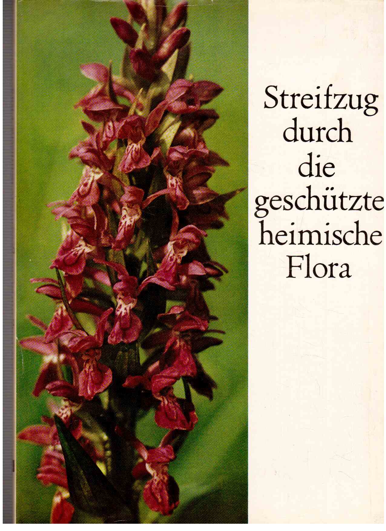 Streifzüge durch die geschützte heimische Flora Streifzüge durch die geschützte heimische Flora