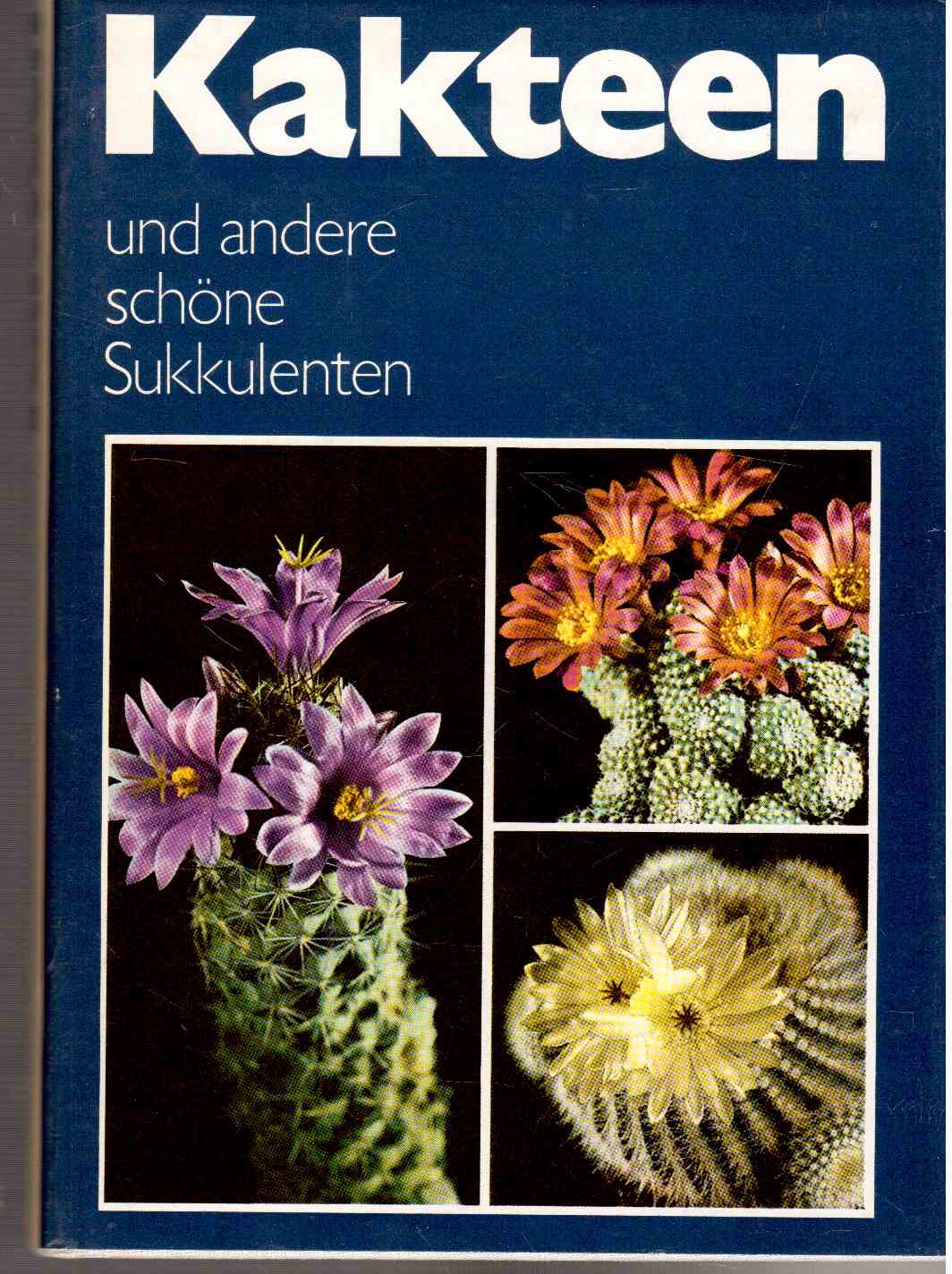 Kakteen und andere schöne Sukkulenten