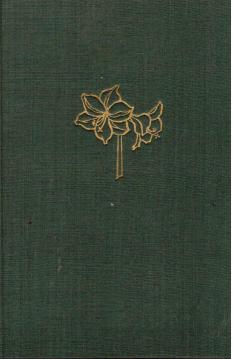 Zimmerblumen