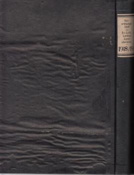 Verordnungsblatt des Evangelisch-lutherischen Landeskonsistoriums zu Dresden. 1918 u. 1919 Verordnungsblatt des Evangelisch-lutherischen Landeskonsistoriums zu Dresden. 1918 u. 1919