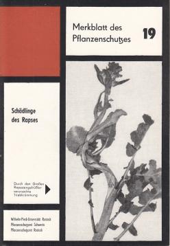 Schädlinge des Rapses Schädlinge des Rapses