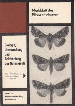 Biologie, Überwachung und Bekämpfung der Gammaeule Biologie, Überwachung und Bekämpfung der Gammaeule
