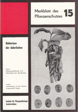 Bakteriose der Ackerbohne Bakteriose der Ackerbohne