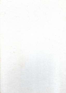 Facsimile Querschnitt durch die Berliner Illustrirte. Band 6 Facsimile Querschnitt durch die Berliner Illustrirte. Band 6