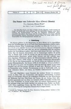 Das Femur von Eotheroides libyca (Owen) (Sirenia) Das Femur von Eotheroides libyca (Owen) (Sirenia)