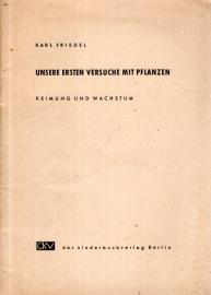 Unsere ersten Versuche mit Pflanzen: Keimung und Wachstum