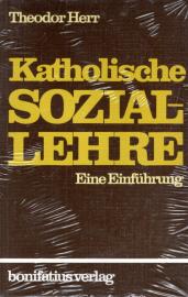 Katholische Soziallehre. Eine Einführung