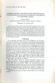 Morphologische Variabilität der chromosomalen Funktionsstrukturen in den Spermatocytenkernen von Drosophila-Arten Morphologische Variabilität der chromosomalen Funktionsstrukturen in den Spermatocytenkernen von Drosophila-Arten