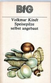 Speisepilze selbst angebaut Speisepilze selbst angebaut