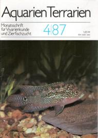 Aquarien Terrarien - Monatsschrift für Vivarienkunde und Zierfischzucht. 4/87 Aquarien Terrarien - Monatsschrift für Vivarienkunde und Zierfischzucht. 4/87