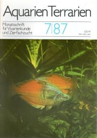 Aquarien Terrarien - Monatsschrift für Vivarienkunde und Zierfischzucht. 7/87 Aquarien Terrarien - Monatsschrift für Vivarienkunde und Zierfischzucht. 7/87