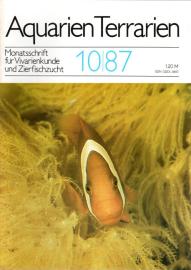 Aquarien Terrarien - Monatsschrift für Vivarienkunde und Zierfischzucht. 10/87 Aquarien Terrarien - Monatsschrift für Vivarienkunde und Zierfischzucht. 10/87
