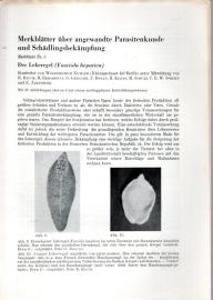 Der Leberegel (Fasciola hepatica) Der Leberegel (Fasciola hepatica)