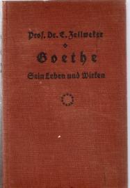 Goethe. Sein Leben und Wirken in Bildern und Urkunden nebst einem Vorspiel Goethes Leben in Schattenrissen Goethe. Sein Leben und Wirken in Bildern und Urkunden nebst einem Vorspiel Goethes Leben in Schattenrissen