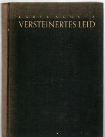 Versteinertes Leid : Michelangelo Buonarroti Versteinertes Leid : Michelangelo Buonarroti