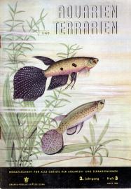 Aquarien und Terrarien. Monatsschrift für alle Gebiete der Aquarien- und Terrarienkunde 3. Jg. Heft 3