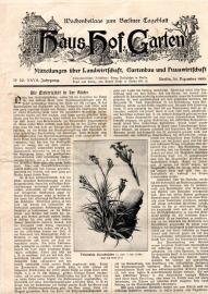 Haus Hof Garten : Wochenbeilage zu Berliner Tageblatt Nr 52, XXVII Jg., 30 Dez. 1905 Haus Hof Garten : Wochenbeilage zu Berliner Tageblatt Nr 52, XXVII Jg., 30 Dez. 1905