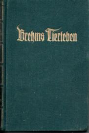 Brehms Tierleben. Säugetiere. Band 11. Sirenen und Wale